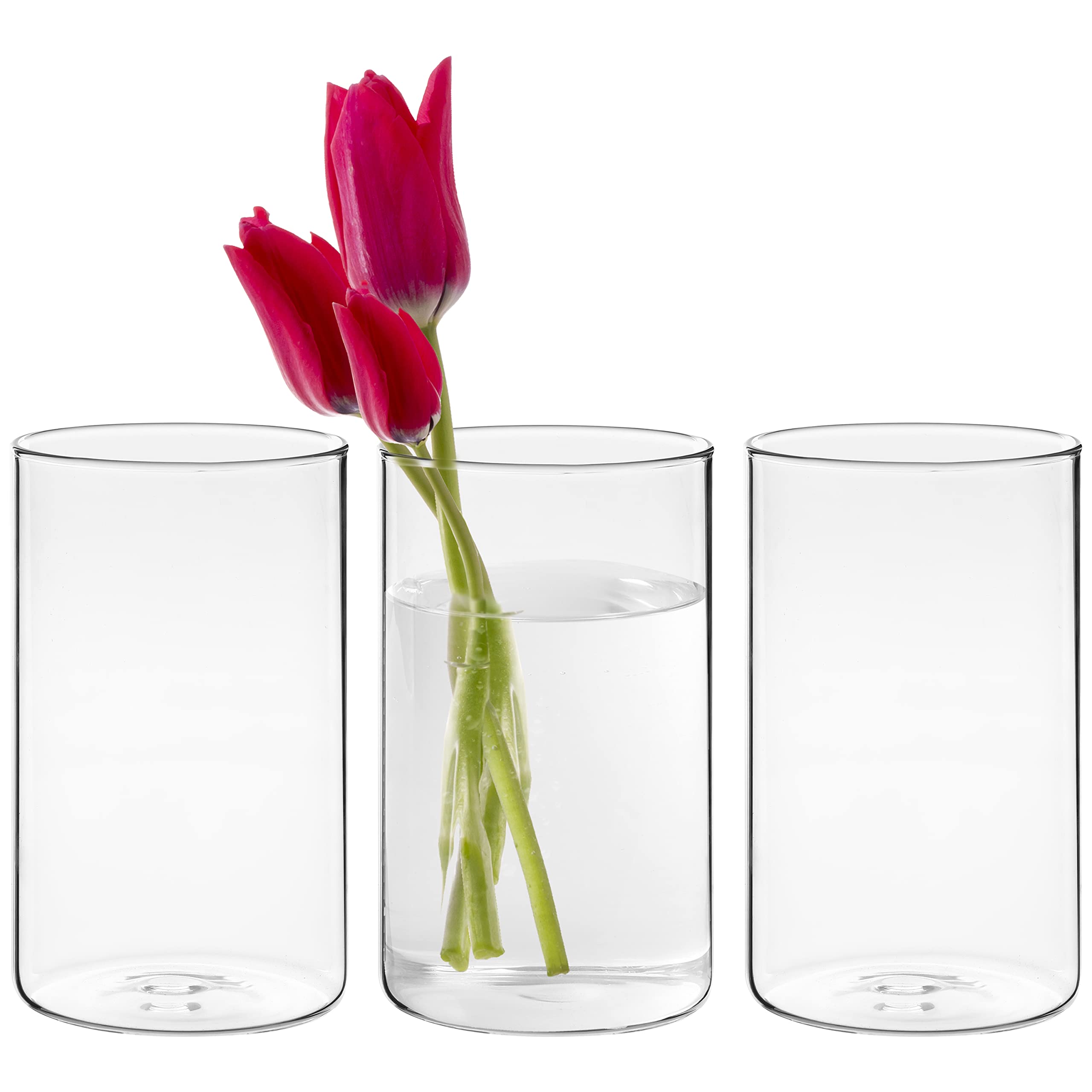 Winter Shore 3er Glasvasen Set 15 cm – Klare Zylinder Glasvasen für Kerzen, Blumen, Muscheln & Hochzeit Tischdeko