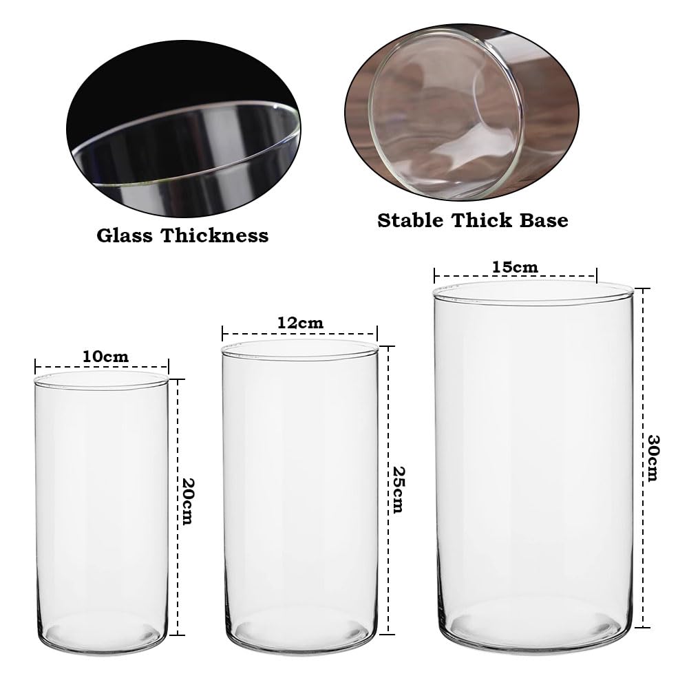 Yuraigm Glaszylinder Vase 30 cm – Hohe Runde Glasvase Transparent für Pampasgras, Rosen, Tulpen, Hochzeit & Tischdeko