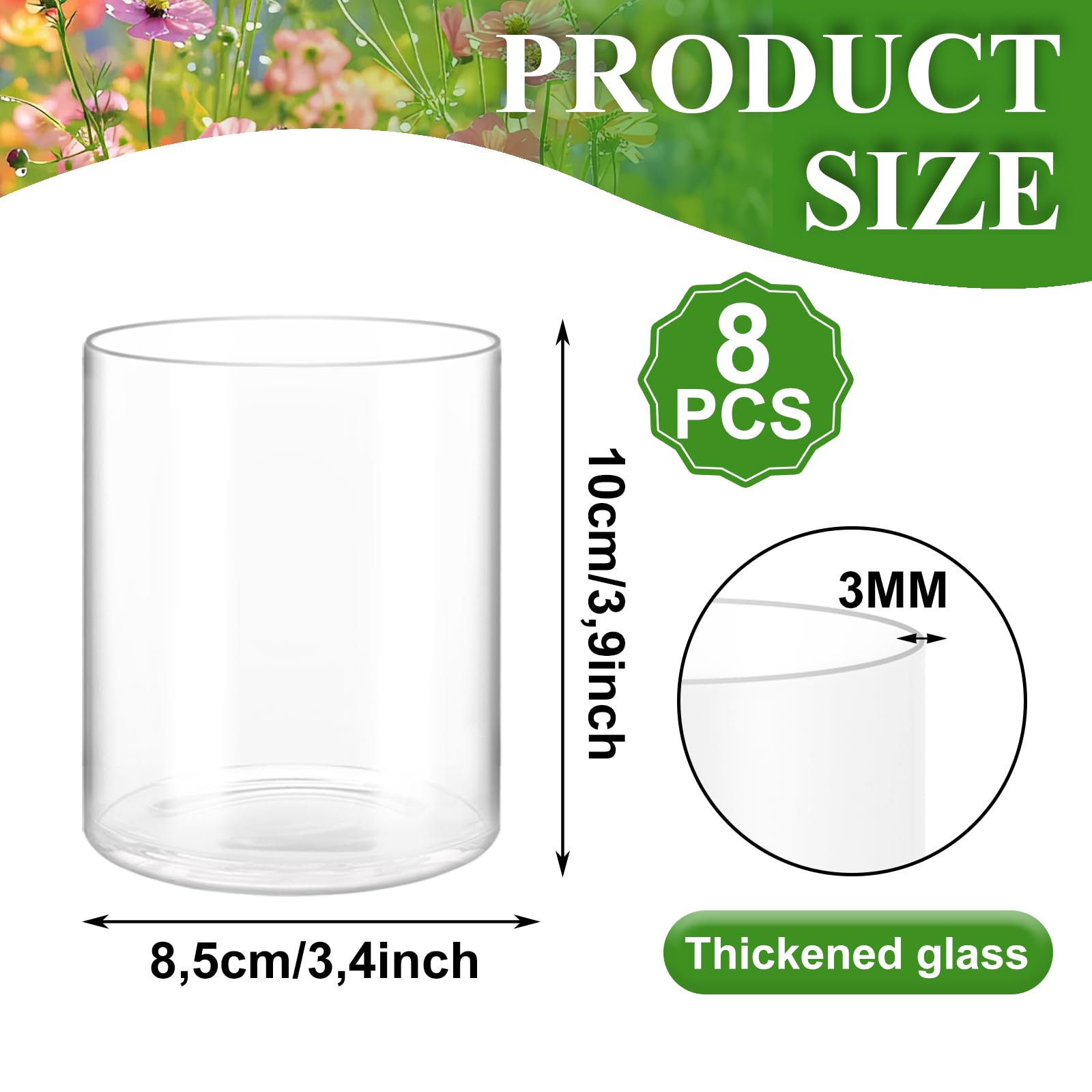 APACALI 8 Stück Glaszylinder Vasen 8.5x10 cm – Runde Klare Blumenvase für Rosen, Tulpen, Orchideen & Tischdeko