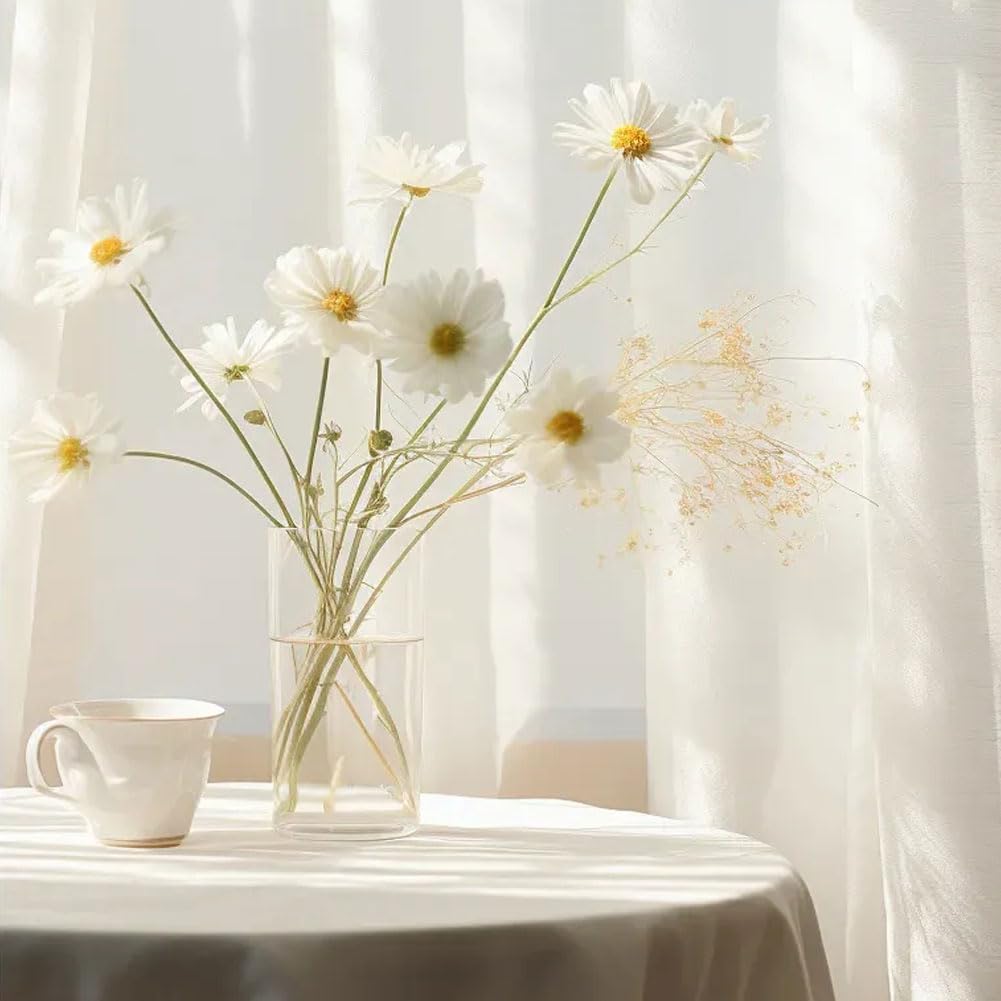 Yuraigm Glaszylinder Vase 30 cm – Hohe Runde Glasvase Transparent für Pampasgras, Rosen, Tulpen, Hochzeit & Tischdeko