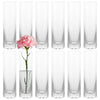 ZOFUN 12er Kleine Glasvasen Zylinder 4.7x17.5 cm – Runde Glasblumenvase für Hochzeit, Pampasgras, Rosen & Tischdeko