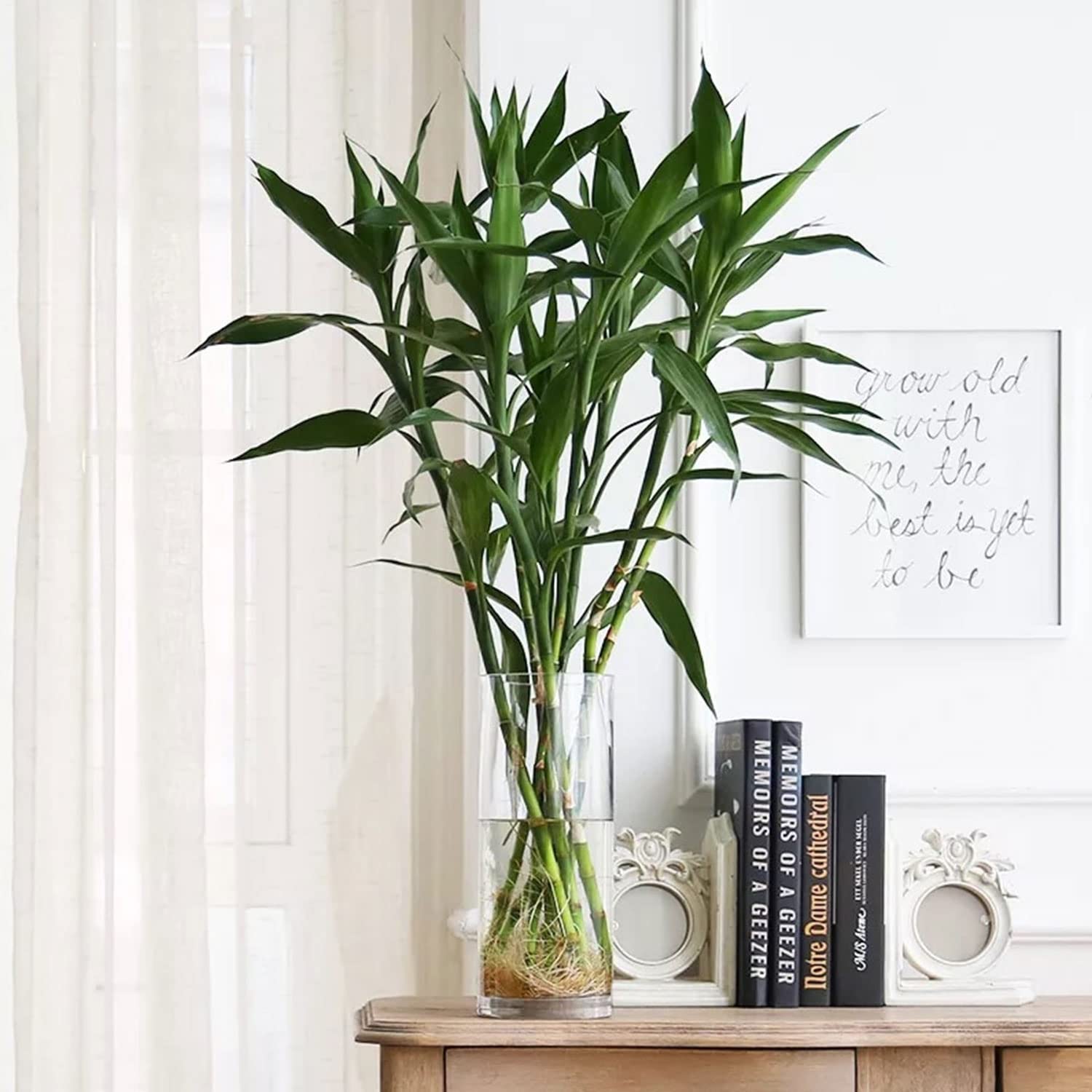 TSKDKIT Glasvase 20x10 cm – Moderne Handgemachte Kristall Zylindervase für Blumen, Kerzen & Tischdeko Wohnzimmer