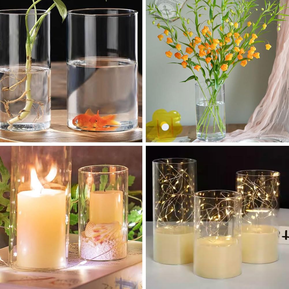 Yuraigm Glaszylinder Vase 30 cm – Hohe Runde Glasvase Transparent für Pampasgras, Rosen, Tulpen, Hochzeit & Tischdeko