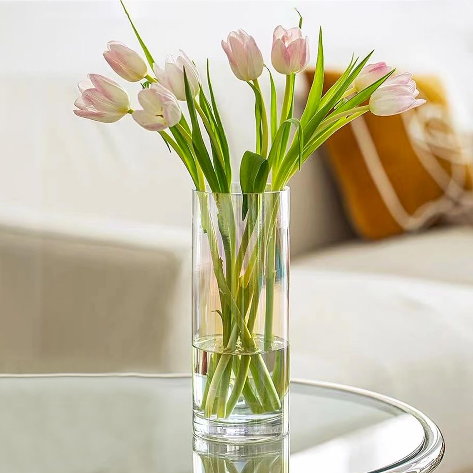 QEEYON Glaszylinder Vase 25 cm – Moderne Hohe Glasvase für Blumen, Kerzenhalter, Pflanzen & Tischdeko Wohnzimmer