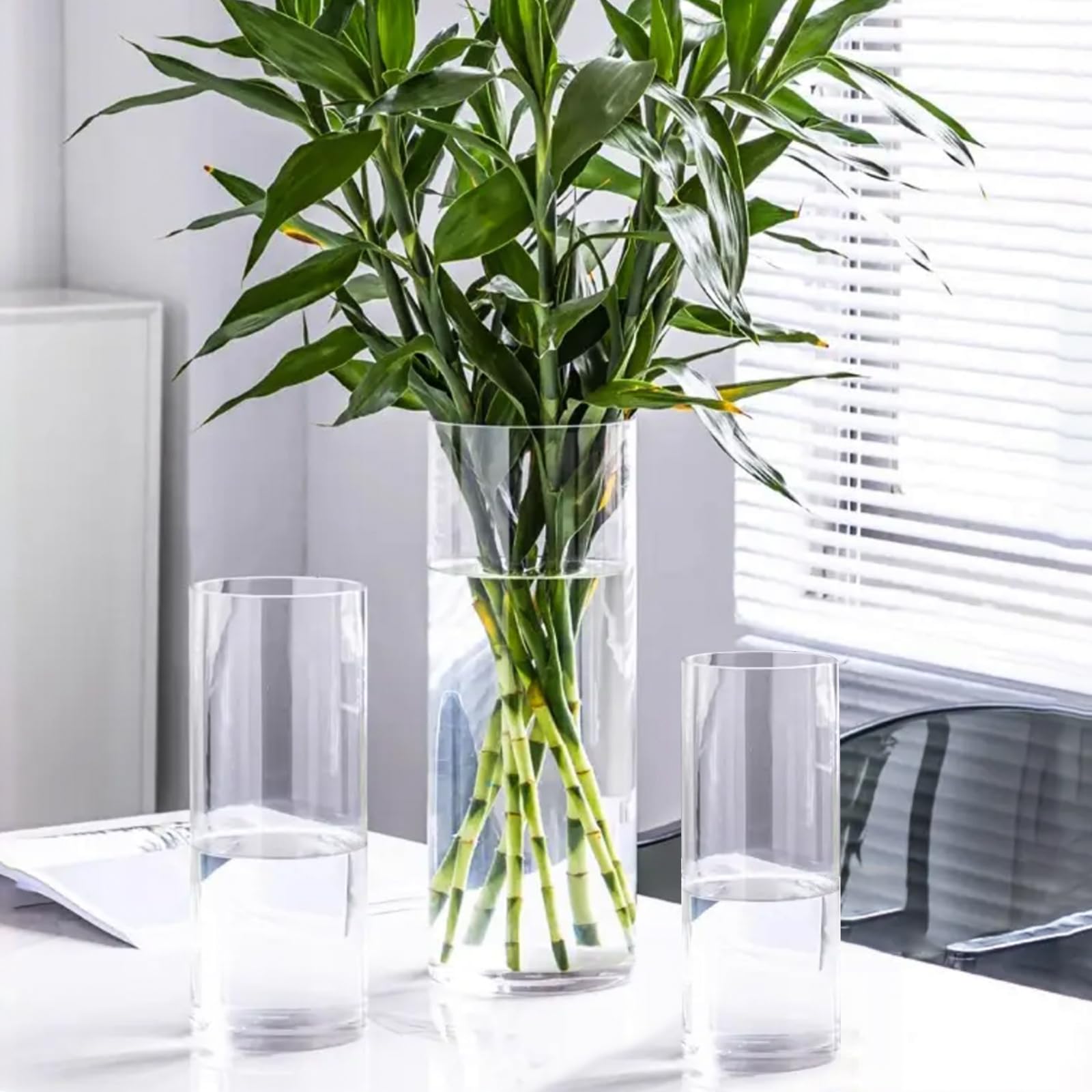 QEEYON Glaszylinder Vase 25 cm – Moderne Hohe Glasvase für Blumen, Kerzenhalter, Pflanzen & Tischdeko Wohnzimmer